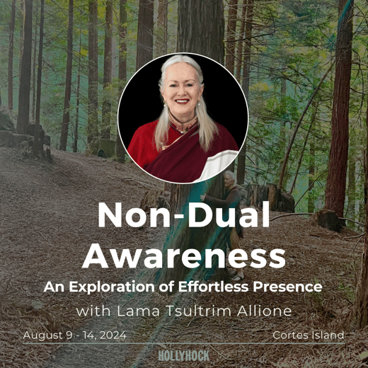 Non-Dual Awareness - Lama Tsultrim Allione