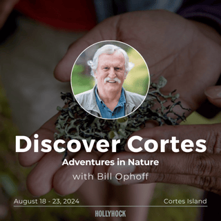 Discover Cortes (August) - Bill Ophoff