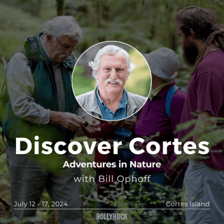 Discover Cortes (July) - Bill Ophoff