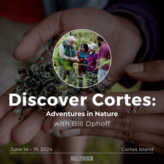 Discover Cortes - Bill Ophoff