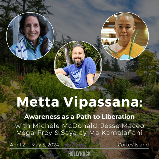 Metta Vipassana