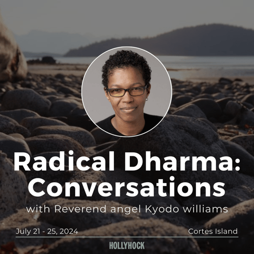 Radical Dharma - Rev angel Kyodo williams