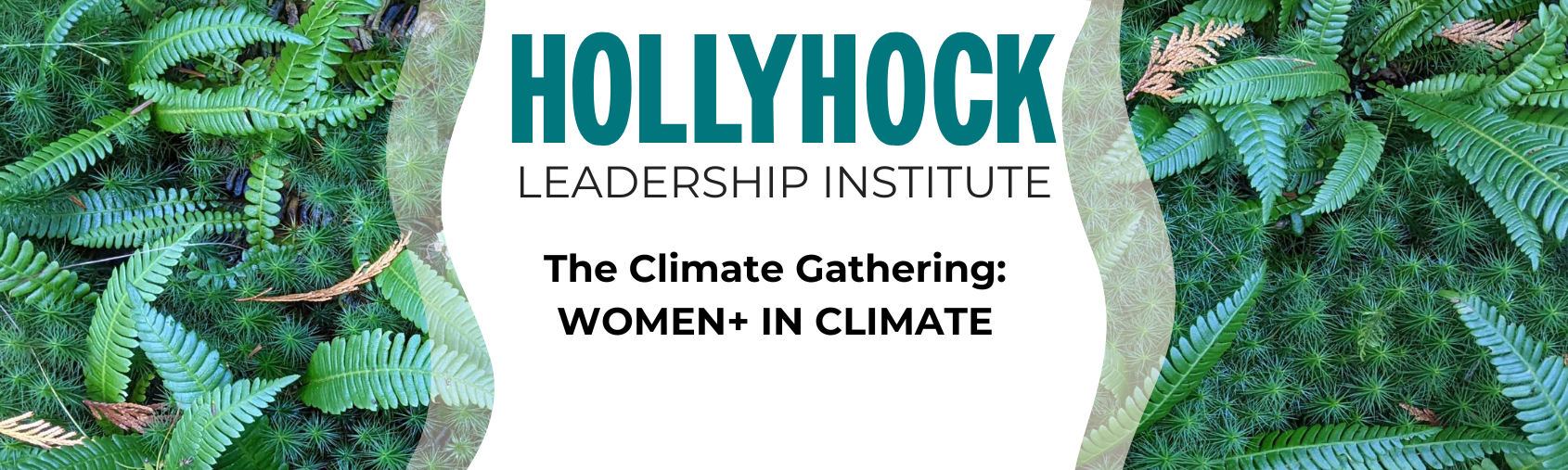 2024 Hollyhock Scholarship Banner